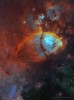 IC 1795: The Fishhead Nebula - 
Image Credit & Copyright: Roberto Colombari & Mauro Narduzzi