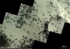 ExoMars TGO view of ice spiders on Mars