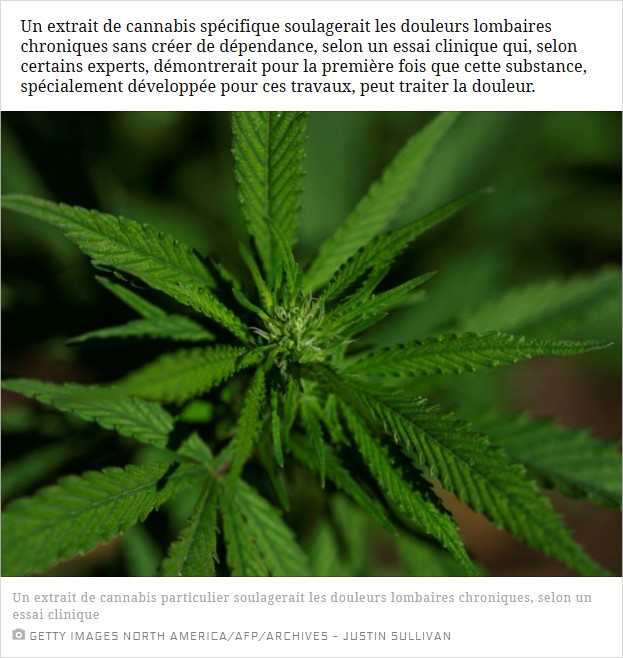 sciencesetavenir - La première preuve scientifique que le cannabis peut traiter la douleur, selon des experts