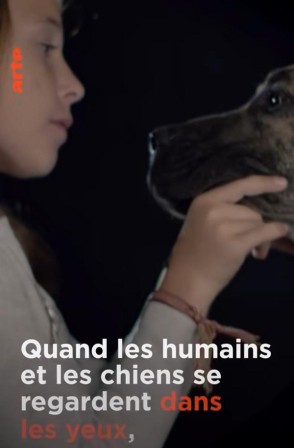 ARTE - Comment le chien a conquis le monde - Arfy'z tranche du Net
