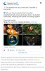 futura-sciences - Une bonne piste de comment le poisson-clown échappe aux piqûres d’anémones