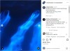 whalesnation - Bottlenose dolphins swimming through bioluminescence.