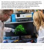 sciencesetavenir - On connaît enfin les neurones permettant de mémoriser des objets