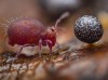 sciencesetavenir - Wildlife Photographer of the Year 2024 : découvrez les superbes clichés des gagnants du célèbre concours photo