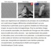 EPFL - La lumière dévoile des secrets codés dans des métasurfaces chirales