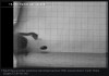 arstechnica - Watch this cucumber squirt out its seeds at ballistic speeds