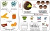 Cordis - Les surprenants bienfaits du chocolat sur la santé