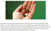 europeanscientist - Une combinaison médicamenteuse prometteuse contre l’alcoolisme