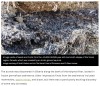 iflscience - The Ice Age Squirrel That Enabled A Plant’s Resurrection 31,800 Years Later