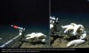 iflscience - This Strange, Supergiant Amphipod Inhabits Up To 59 Percent Of The World's Seabed