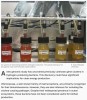 interestingengineering - New marine bacteria that make hydrogen in large quantities discovered by scientists