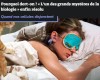 numerama - Pourquoi dort-on ? « L’un des grands mystères de la biologie » enfin résolu