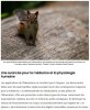 sciencepost - Et si les écureuils détenaient la clé pour survivre dans l’espace ?