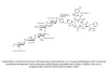 sciencepost - Un nouvel antibiotique au fond d’une mine