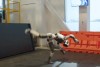 IEEE Spectrum - Video Friday: Meet Mech, a Superhumanoid Robot
