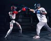IEEE Spectrum - Video Friday: Robot Boxing