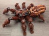 yankodesign - LEGO Tarantula par Realestateagent