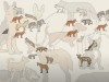 MinuteEarth - All the dogs, explained