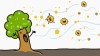 MinuteEarth - Pollen Is Not Plant Sperm (It’s MUCH Weirder)