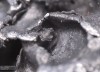 Steve Mould - This microscope spins - and the shots are insane
