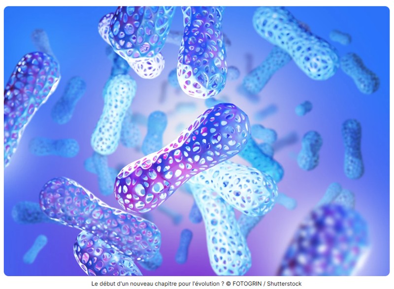 clubic - Ces scientifiques ont réécrit les lois du vivant : réécrire une partie de l'ADN d'une bactérie