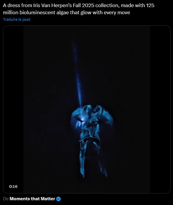 futura-sciences - de la bioluminescence dans une robe -  Iris van Herpen, collection « Sympoiesis ».