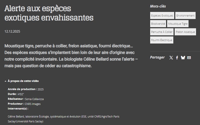 CNRS Lejournal - Alerte aux espèces exotiques envahissantes