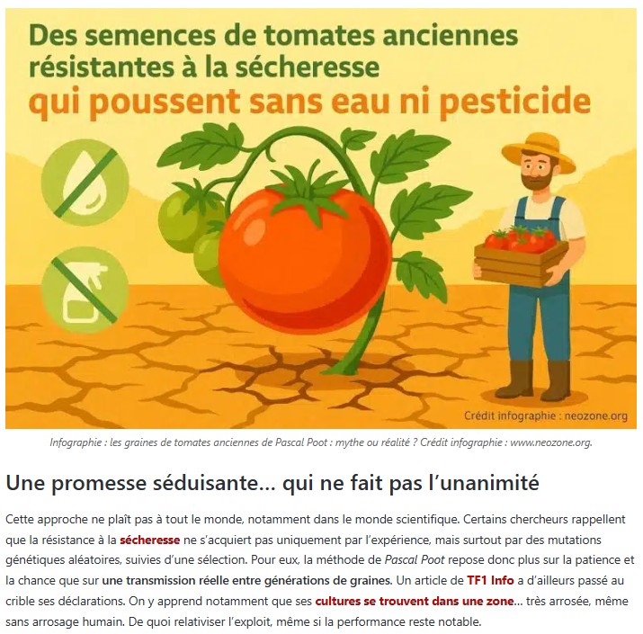 neozone - Des scientifiques s’intéressent aux « tomates qui poussent sans eau » de Pascal Poot