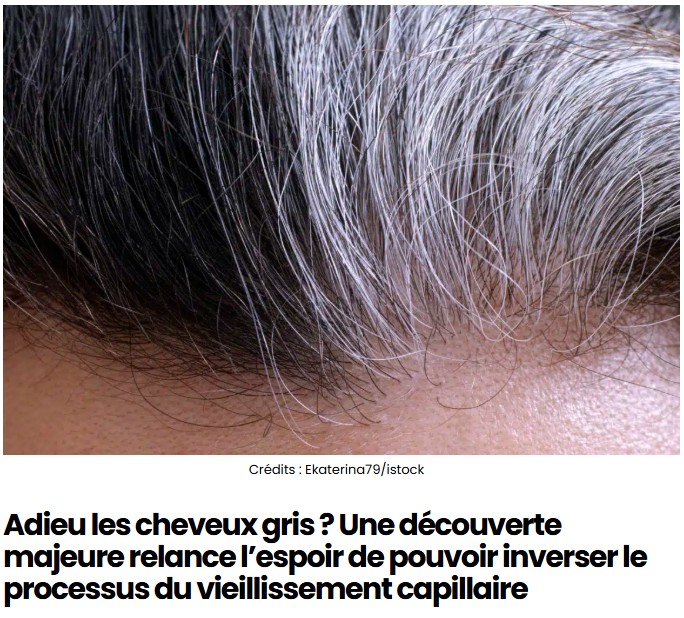sciencepost - Une découverte relance l’espoir de pouvoir inverser le processus du vieillissement capillaire