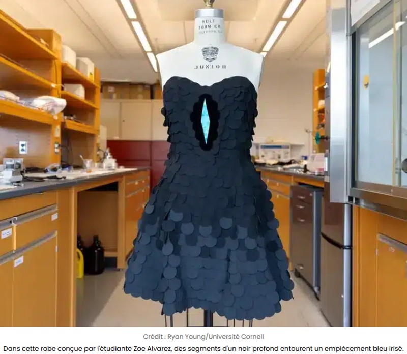 sciencepost - Elle absorbe 99,87 % de la lumière : le tissu le plus sombre jamais créé – inspiré des oiseaux de paradis – donne naissance à la robe noire ultime