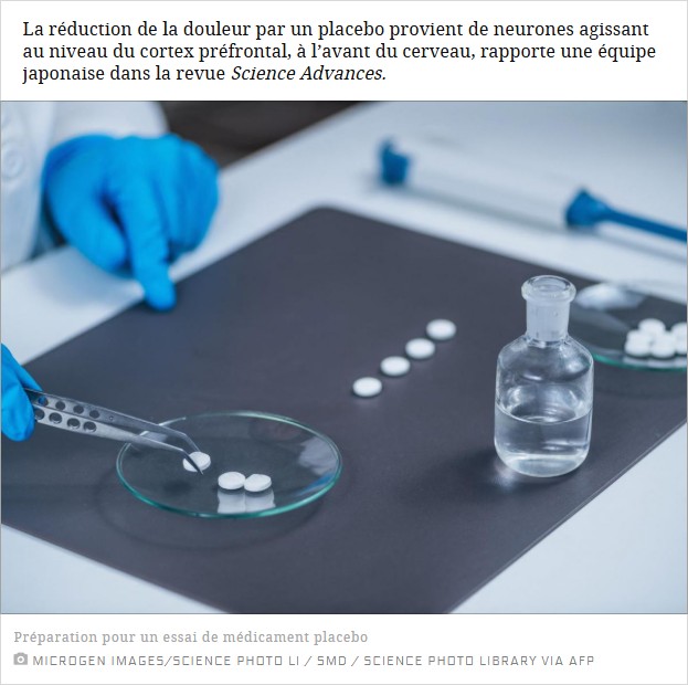 sciencesetavenir - Comment l'effet placebo peut soulager la douleur : le mécanisme cérébral identifié