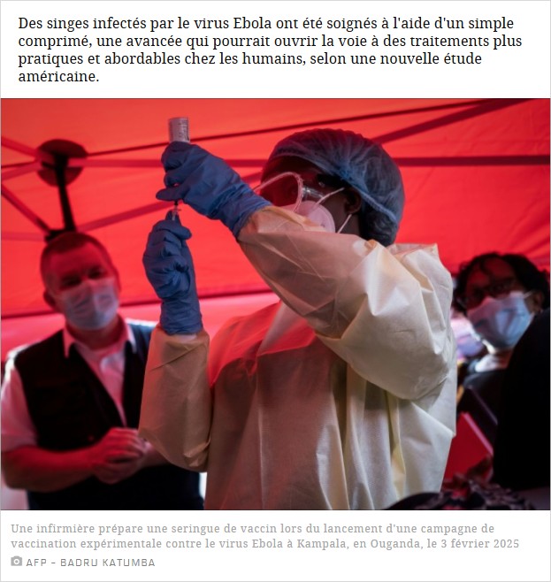 sciencesetavenir - Virus Ebola : la guérison d'un singe grâce à un traitement suscite des espoirs