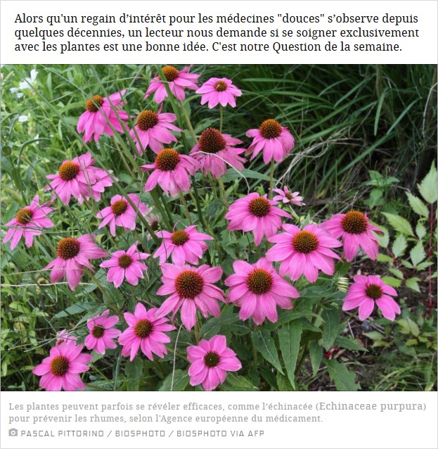 sciencesetavenir - Peut-on envisager de ne se soigner qu’avec des plantes