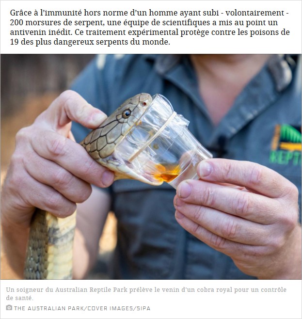 sciencesetavenir - Vers un antidote universel contre les morsures de serpents