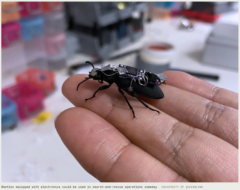 IEEE Spectrum - Video Friday: Cyborg Beetles May Speed Disaster Response One Day