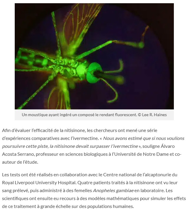 trustmyscience - Paludisme : un médicament transforme le sang humain en poison pour les moustiques