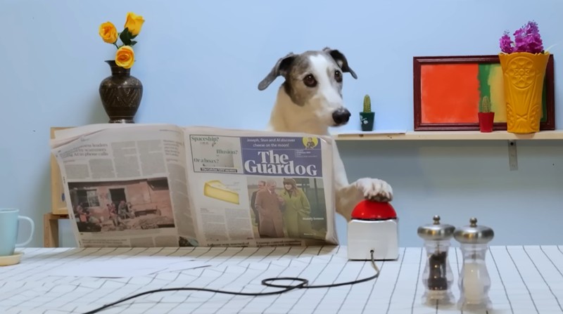 J'ai fabriqué un engin Wallace et Gromit dans la vraie vie ! - Les machines de Joseph