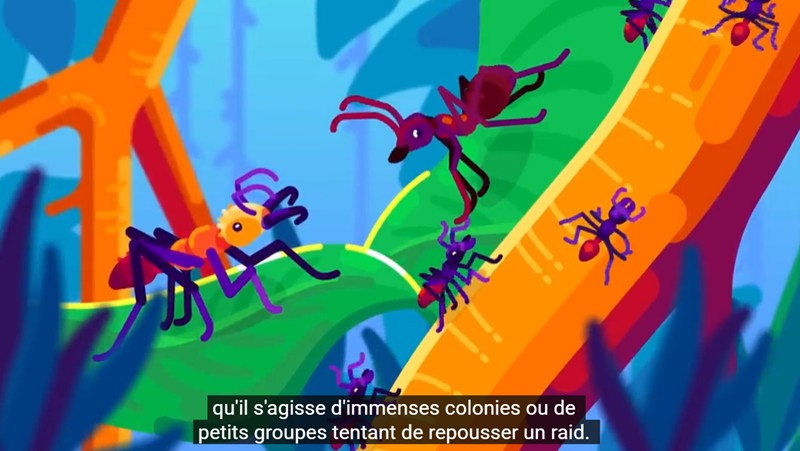 Kurzgesagt – In a Nutshell - La guerre mondiale des fourmis – Les fourmis légionnaires