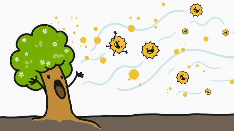 MinuteEarth - Pollen Is Not Plant Sperm (It’s MUCH Weirder)