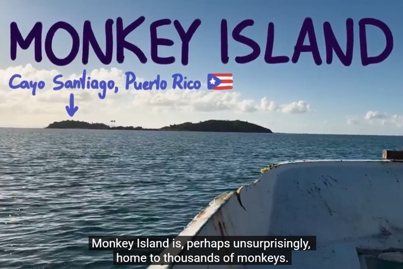 MinuteEarth - What I Learned on Monkey Island
