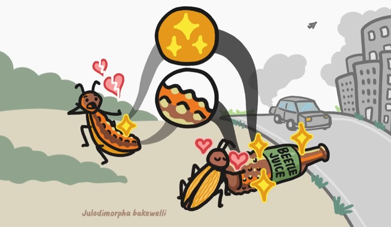 MinuteEarth - When Evolution Glitches Out