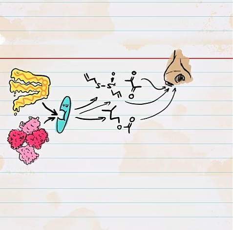 MinuteFood - Why Fermentation Makes Food Taste SO Good