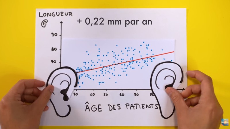 scilabus - L'étrange raison qui fait grandir nos oreilles toute la vie