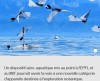 EPFL - Un robot ailé nage et vole comme un oiseau plongeur