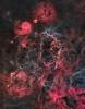 APOD - The Vela Supernova Remnant