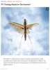 boredpanda - smartphone wildlife photography Steven Scott Grogin