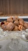 amauryguichon - The Walnut