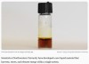 interestingengineering - New cell-inspired material eliminates need for metals, plastics in energy storage