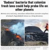 interestingengineering - ‘Badass’ bacteria that colonize fresh lava could help probe life on other planets