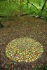 oddlysatisfying - Making a mosaic with autumn leaves 